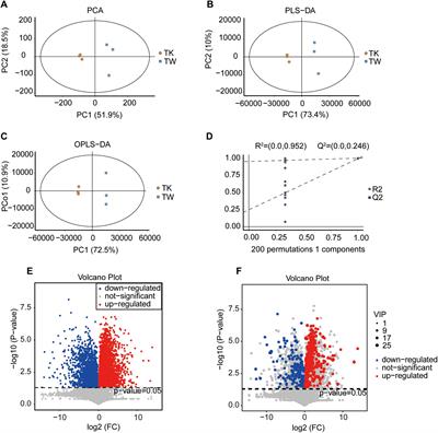 Administration of turmeric kombucha ameliorates lipopolysaccharide-induced sepsis by attenuating inflammation and modulating gut microbiota